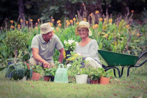 Seasonal lawn care tips for Battersea