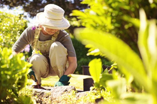 Operative assessing a hedge before trimming