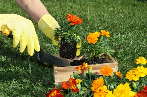 Design trends for Battersea landscaping with sustainable elements