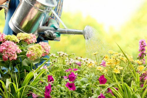 Healthy green lawn maintained by experts