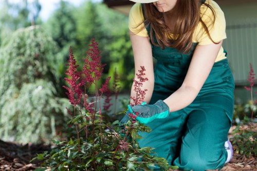 Garden debris being removed