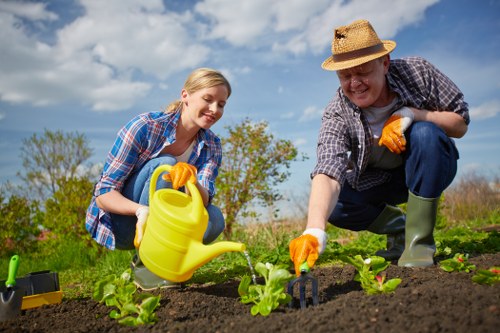 Local team enhancing Battersea gardens with expert trimming