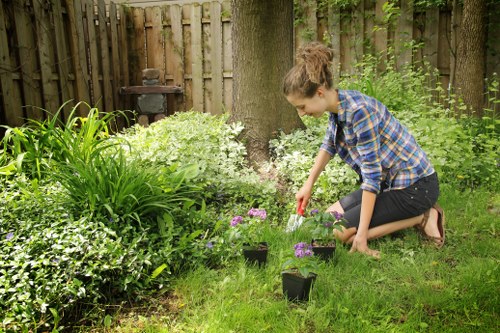 Team performing garden clearance in Battersea