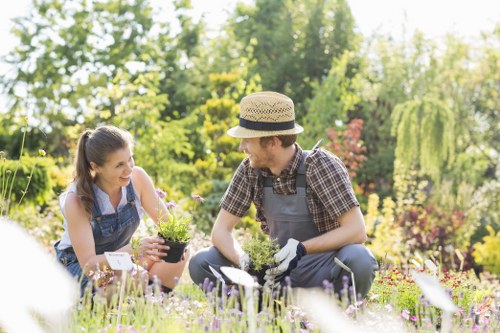 Professional lawn mowing service in Battersea